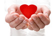 love concept. holding a red heart in hands. love concept. holding a red heart in hands.