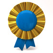 Award ribbon rosette