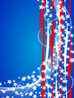 Usa independance