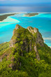 Dog on the rock, Maupiti, French Polynesia