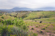 Campo en Cebreros