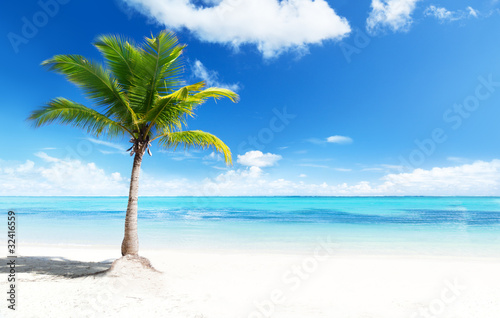 Photo: palms and beach palms and beach