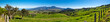 Piton des Neiges vu depuis la plaine des Cafres - Réunion