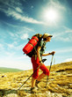 Hike