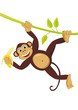Monkey on liana with banana