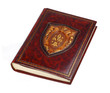 big brown vintage  leather book