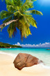 plage cocotier plage cocotier