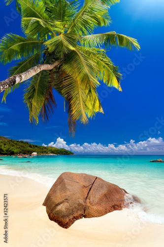 Photo: plage cocotier plage cocotier