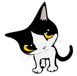 Kitty