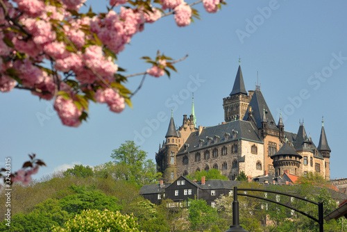 Foto: Schloss Wernigerode im Frühling Schloss Wernigerode im Frühling