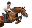 Photographie : Young girl jumping with bay horse