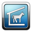 Glossy Square Icon "Stable"