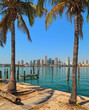 Downtown Miami Skyline