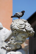 Neptune statue in Piazza Navona - Rome, Italy