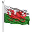 Illustration: Flag of Wales Flag of Wales