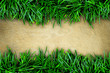 Fresh green grass on sand stone background