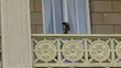 Video: Walking through the palace Walking through the palace