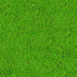green grass field background