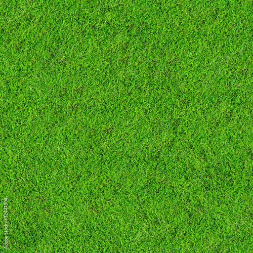 Photo: green grass field background green grass field background