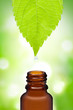 Herbal medicine pharmacy Herbal medicine pharmacy