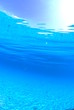 青い海の中