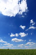 Unter blauen Himmel