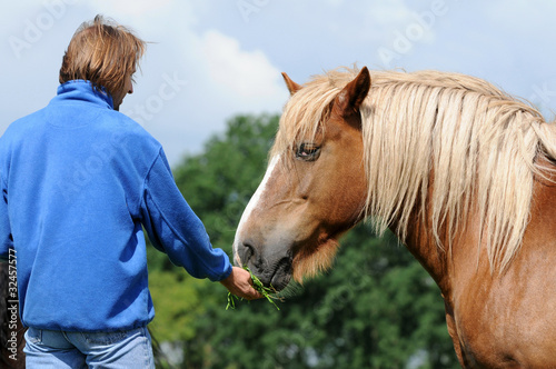 Foto: Pferd wird gefüttert Pferd wird gefüttert