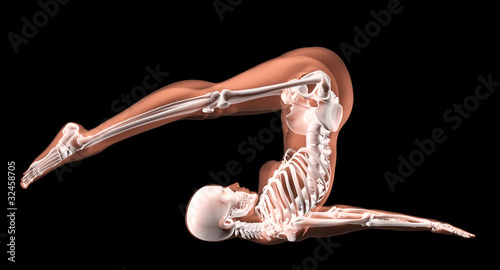 Illustration: Female skeleton in yoga position Female skeleton in yoga position