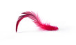 Feather