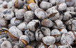 chestnuts