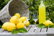 Basket with lemons and limoncello