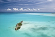 Foto: Bahamian island paradise Bahamian island paradise
