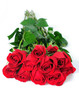 Red Roses