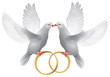 Wedding white doves with rings