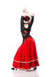 young woman dancing flamenco from back isolated on white