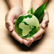écologie planète terre mains écologie planète terre mains