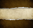 ripped paper