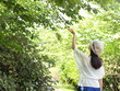 夏の木陰と女性