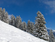 Skiing slope