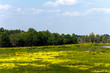 Foto: Ried,und Naturschutzgebiet,Obeda Ried,und Naturschutzgebiet,Obeda
