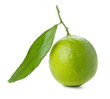 Fresh lime with green leaf Fresh lime with green leaf