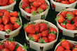 étal de fraises au marché étal de fraises au marché