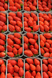 étal de fraises au marché étal de fraises au marché