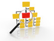 organization chart with magnifier