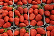 étal de fraises au marché étal de fraises au marché