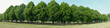 trees