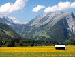 Foto: Im Tal, Blumenwiese Im Tal, Blumenwiese