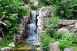 Wasserfall in der Wildnis