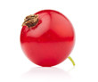 red currant