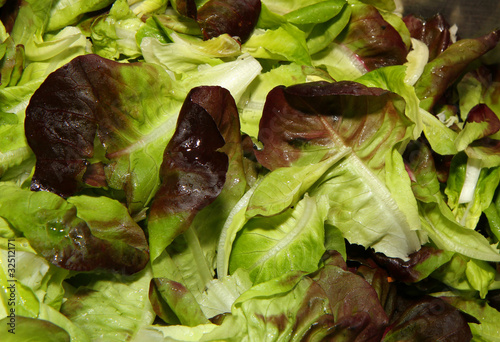 Photo: Salat II Salat II